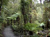 Purakaunui Falls, Catlins
