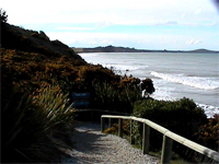 Moeraki Coastline, near boulders
