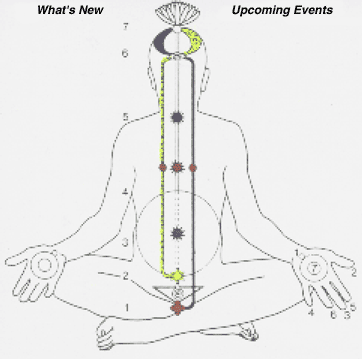 Chakras