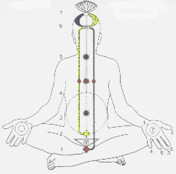 chakras