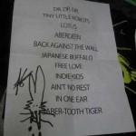 Cage The Elephant setlist, with Matt's 'signature bunny'