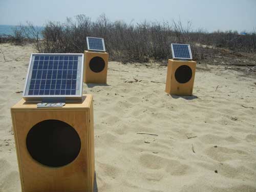 Sun Boxes vacationing at the Vineyard.