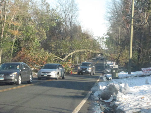 It took crews 4 days to figure out how to take down this tree. Their first attempt blocked the entire road, instead of just half.