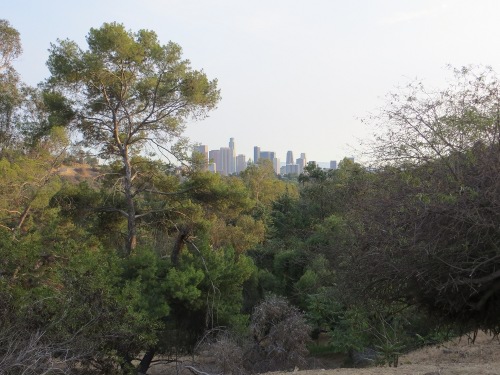 Elysian Park, Echo Park in Los Angeles