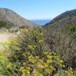 Solstice Canyon, Malibu