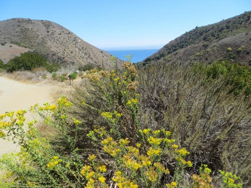 Solstice Canyon, Malibu