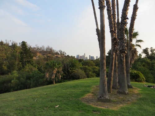 Elysian Park ~ Echo Park, Los Angeles