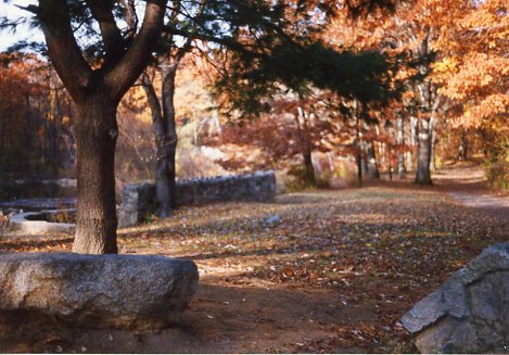 Bellevue Pond in Middlesex Fells Reservation, in happier days - circa 1994.