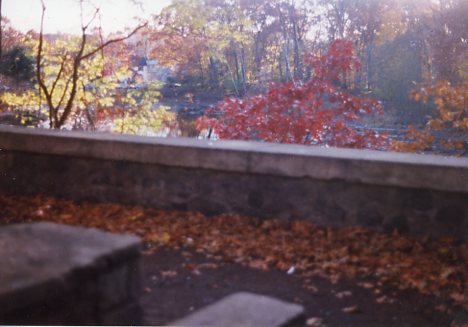 The beauty of the stone wall and pond, as it once was. - circa 1994.